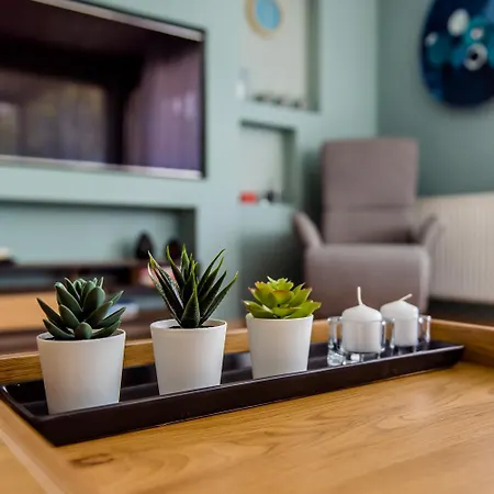 Appartement Duna Terrace *