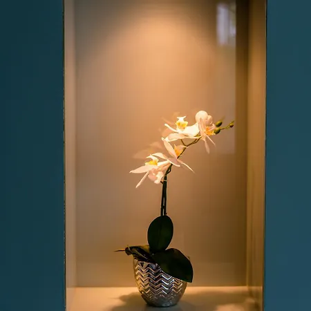 Duna Terrace Apartment *